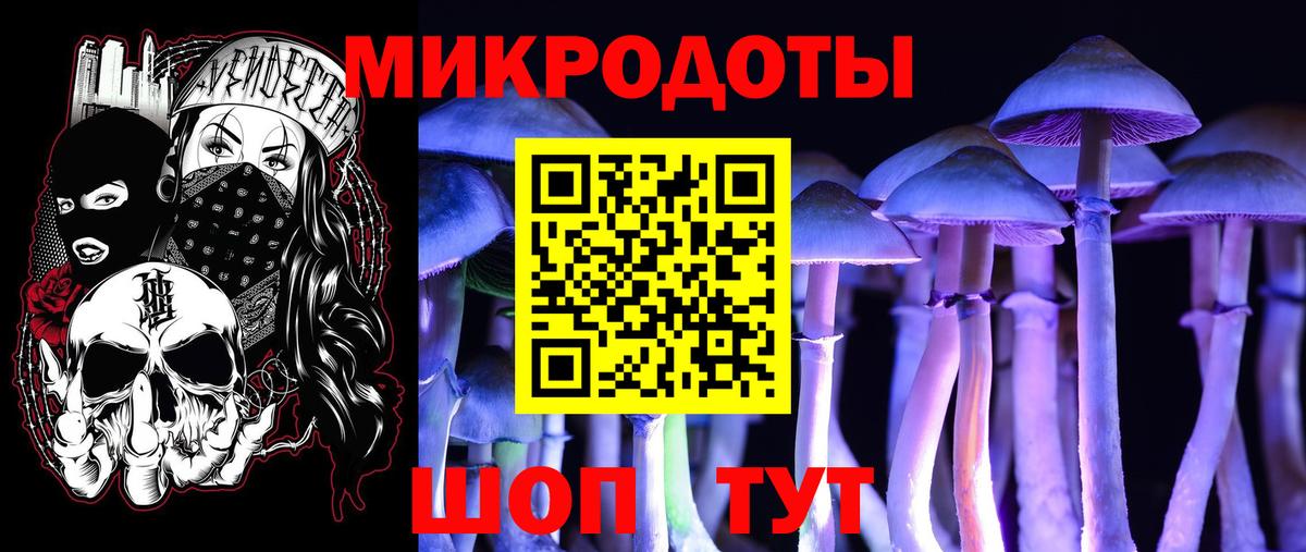 Надым  Галлюциногенные грибы Psilocybine cubensis  Вход с VPN 