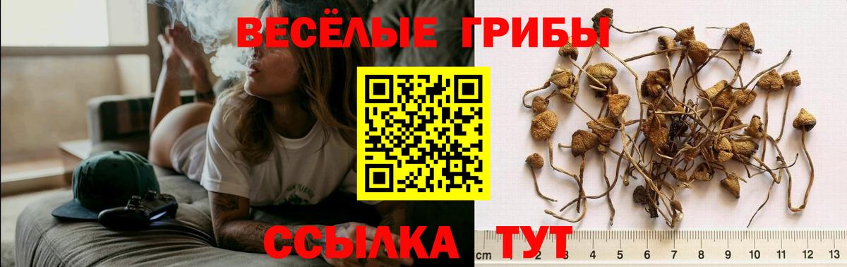 Галлюциногенные грибы Magic Shrooms Надым